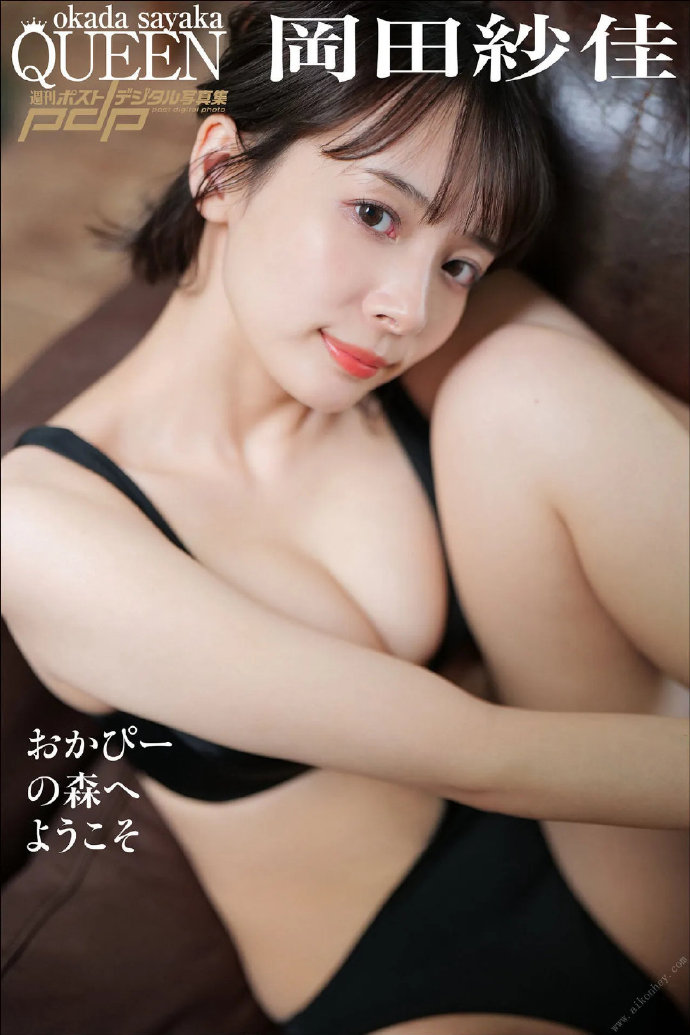 风骚律师 封面